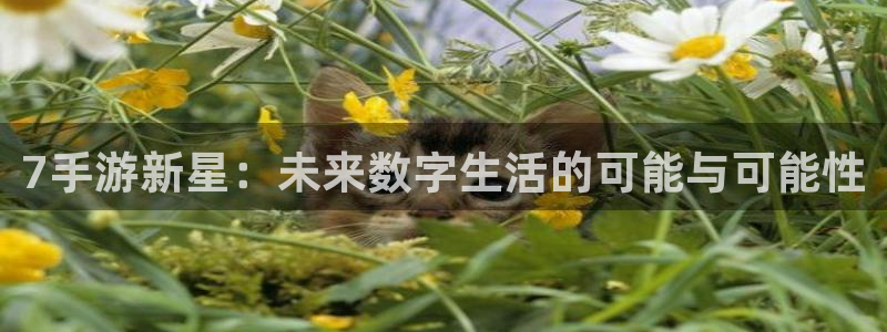 火狐电竞PC官网：7手游新星：未来数字生活的可能与可能性