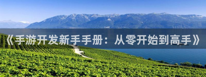 大神吧28预测结果：《手游开发新手手册：从零开始到高手》