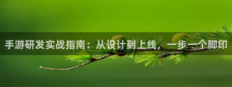 火狐电竞吧：手游研发实战指南：从设计到上线，一步一个脚印