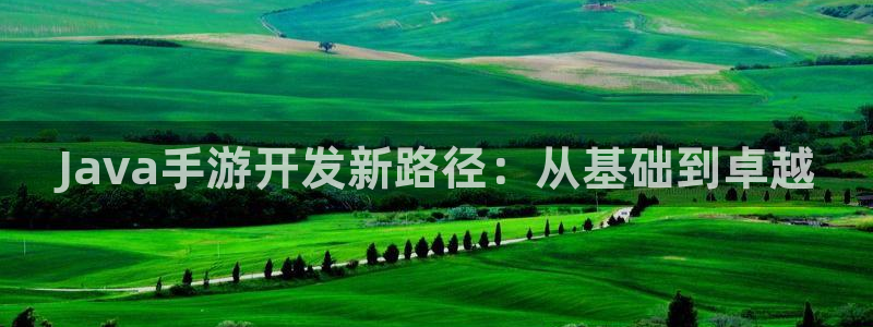 火狐电竞在线对子预测：Java手游开发新路径：从基础到卓越