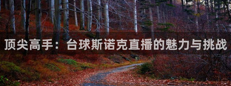 斗球直播旧版下载安装：顶尖高手：台球斯诺克直播的魅力与挑战
