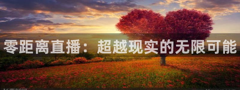 斗球直播免费观看：零距离直播：超越现实的无限可能