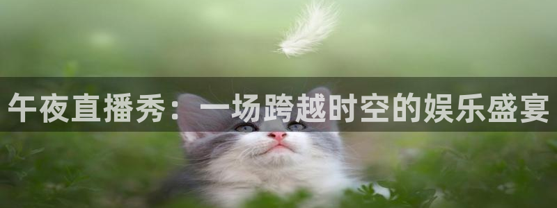 斗球免费看球：午夜直播秀：一场跨越时空的娱乐盛宴