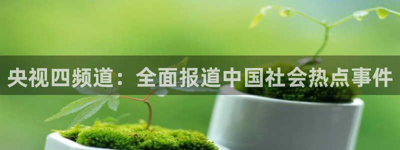 斗球app在线观看：央视四频道：全面报道中国社会热点事件