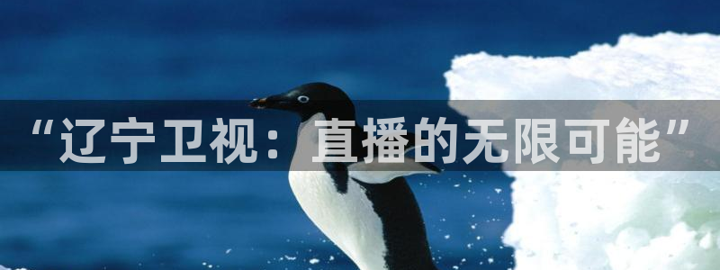 斗球直播(免费版)：“辽宁卫视：直播的无限可能”